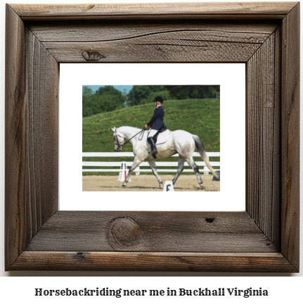 horseback riding near me in Buckhall, Virginia